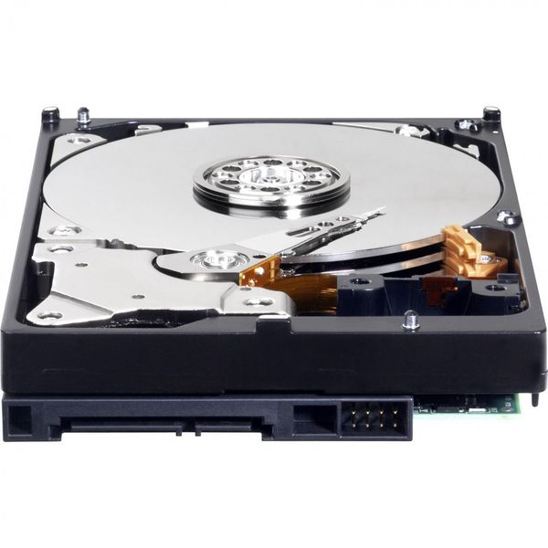 Жорсткий диск Western Digital Caviar Blue 3.5" 1TB (WD10EZEX) 43951 фото