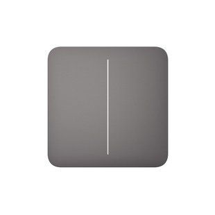 Ajax SoloButton (2-gang) [55] grey кнопка 47443 фото