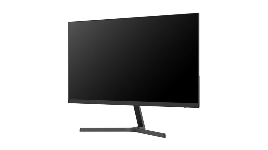 Монітор Xiaomi Mi Monitor 1C Black (BHR4510GL) 45081 фото