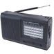 Радіоприймач GOLON RX-3040 00-00078555 фото 1