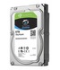 Seagate SkyHawk ST6000VX001 6TB жорсткий диск внутрішній 43969 фото 1