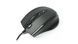 Мышь компьютерная A4tech N-770FX-1 Black USB 43101 фото 1