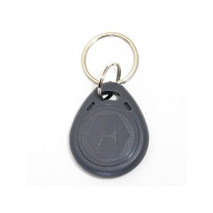 Ключ-брелок RFID KEYFOB EM RW-Grey RFID сірий 45600 фото