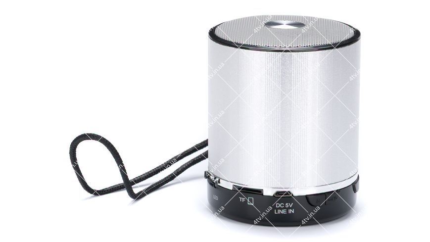 Колонка портативна WSTER WS-231BT Bluetooth срібляста 42041 фото