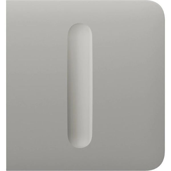 Ajax SideButton (Dimmer) [55] (8EU) ASP oyster кнопка 00-00076361 фото