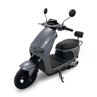 Електроскутер BeastBike Thanator (BEASTBIKE/1200TS) Silver 50763 фото