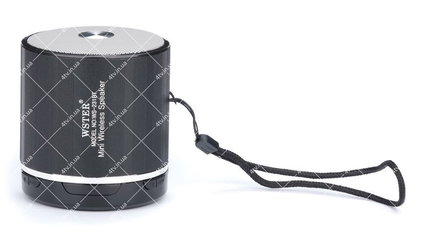 Колонка портативная WSTER WS-231BT Bluetooth черная 42038 фото